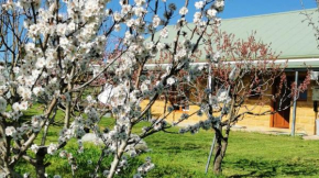 Kathmandu Farmstay - Pool Table, Ping Pong, Bicycles, PlayStation, Netflix, close to Bathurst and Mayfield Garden